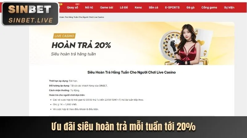 Hoàn trả hàng ngày tại 99V